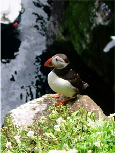 Ireland-Western Ireland-Kerry Way - Escorted Walking Tour